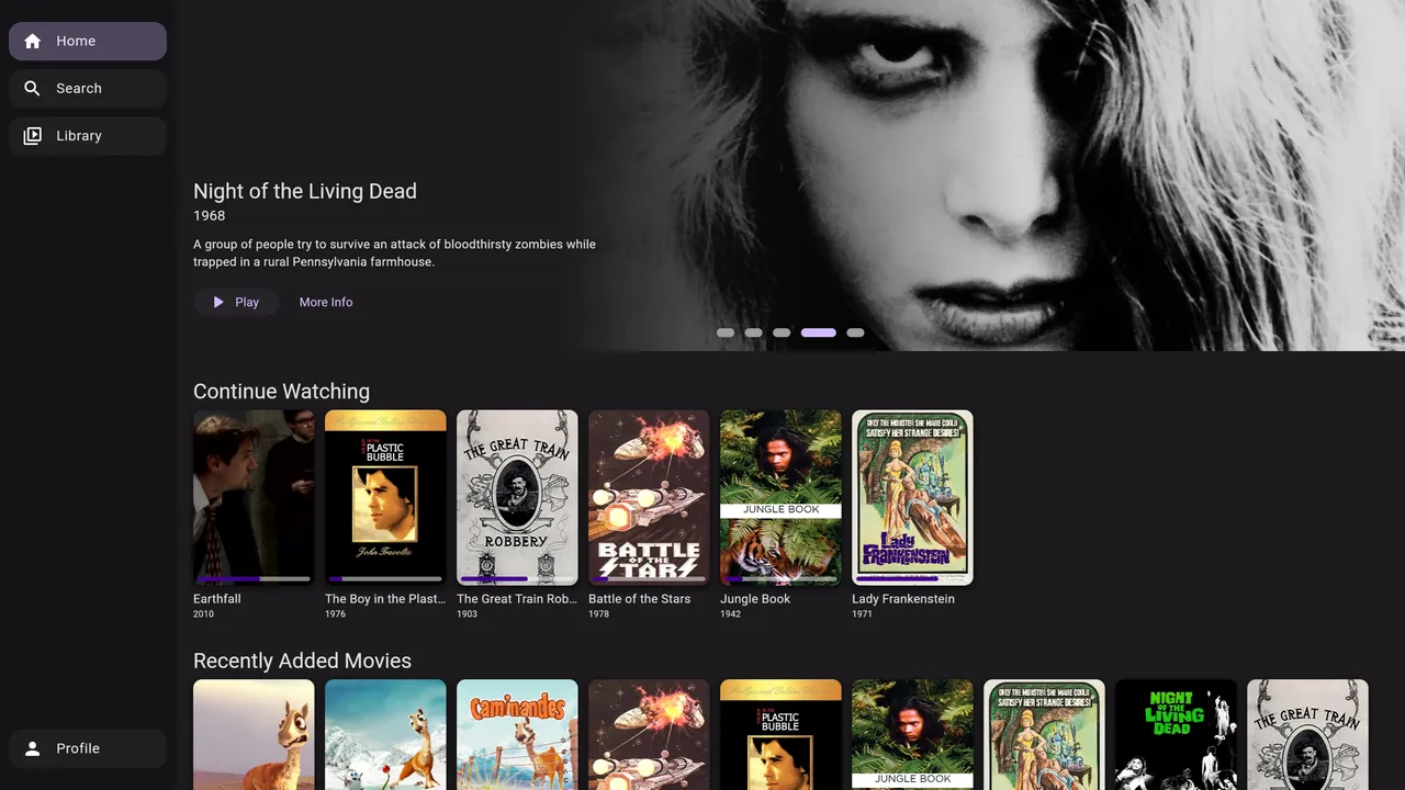 Jellyflix on desktop, screenshot 1