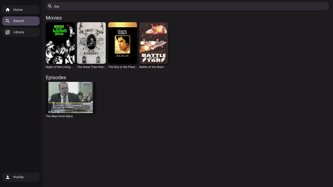 Jellyflix on desktop, screenshot 3