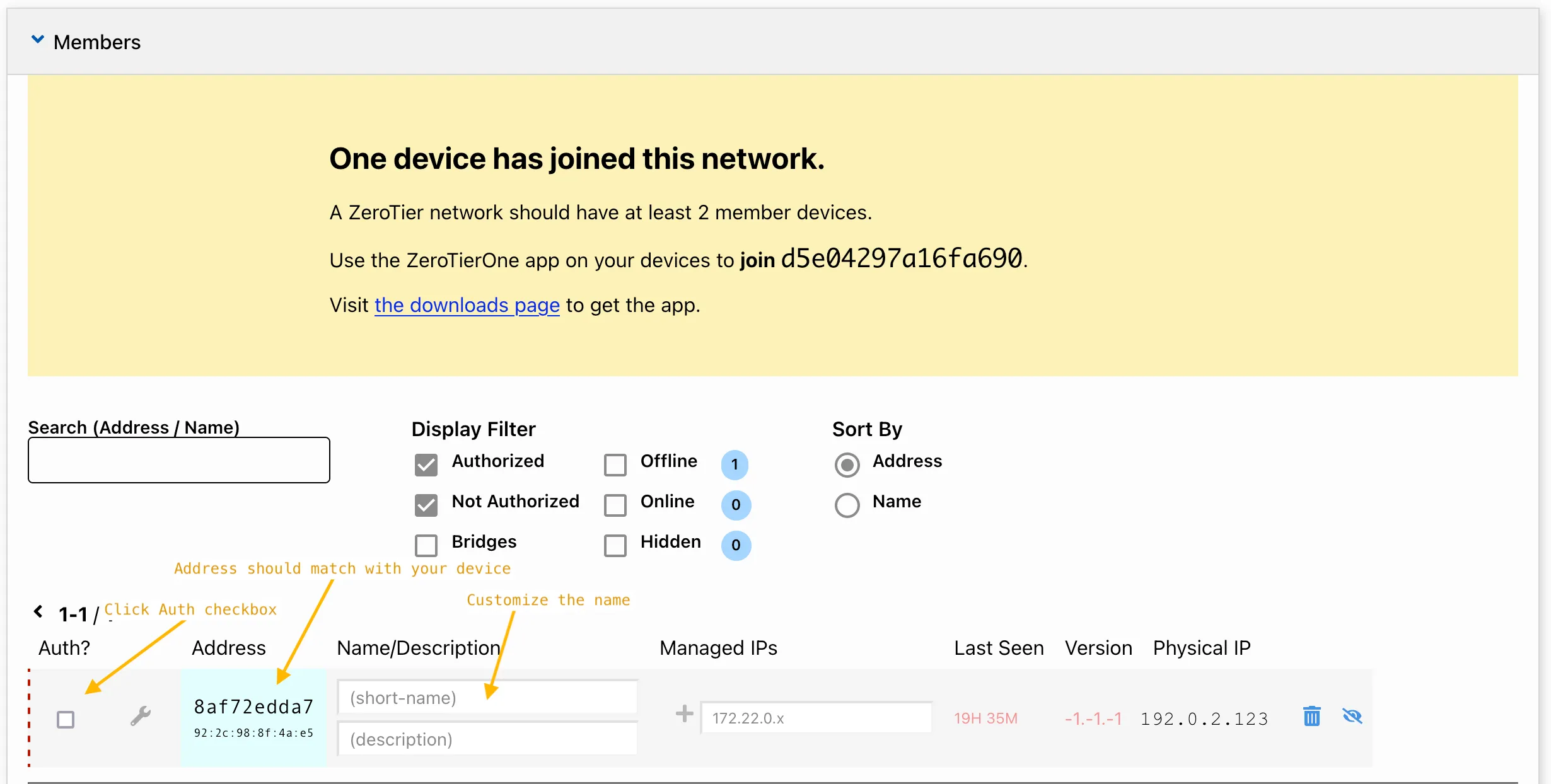 Authorize members in ZeroTier Central